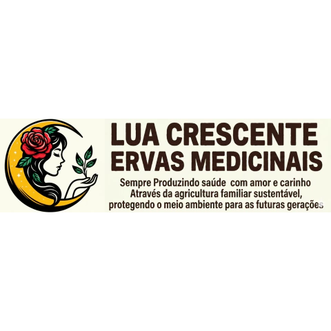 Logotipo da empresa LUA CRESCENTE