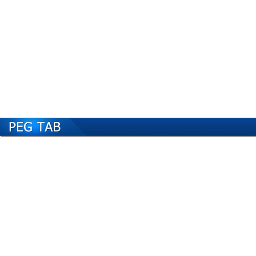 Logotipo da empresa PEG-TAB