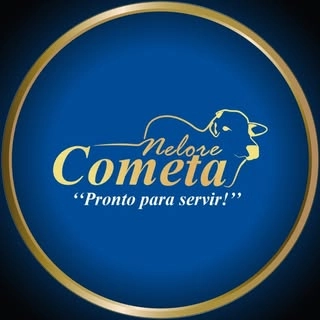 Logotipo da empresa COMETA MOTOCENTER