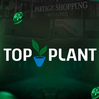 Logotipo da empresa TOPPLANT