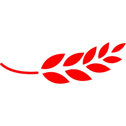 Logotipo da empresa CHIPA'S & NUTREPAN