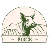 Logotipo da empresa TRANSPORTES BIRCK