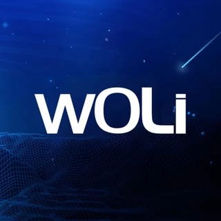 Logotipo da empresa WOLI