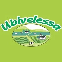 Logotipo da empresa UBIVELESSA