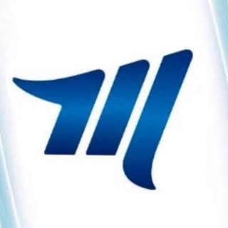 Logotipo da empresa METAS