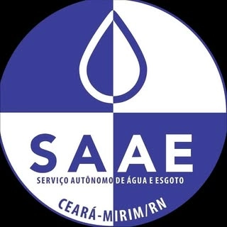 Logotipo da empresa SAAE