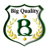 Logotipo da empresa BIG QUALITY SERVICOS LTDA