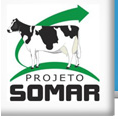 Logotipo da empresa SOMAR