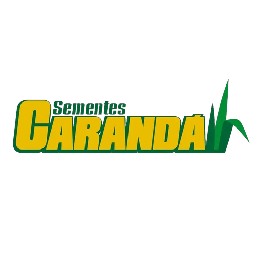 Logotipo da empresa SEMENTES LIDER
