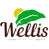 Logotipo da empresa WELLIS ALIMENTOS