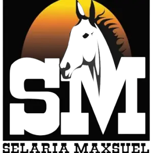 Logotipo da empresa SELARIA MAXSUEL
