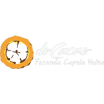 Logotipo da empresa DOCACAO