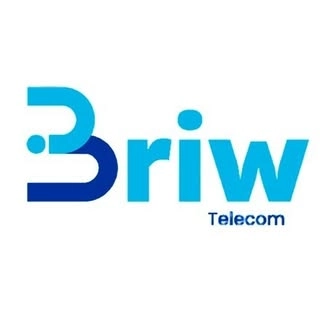 Logotipo da empresa BRIW TELECOM
