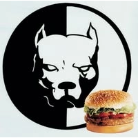 Logotipo da empresa PIT LANCHES