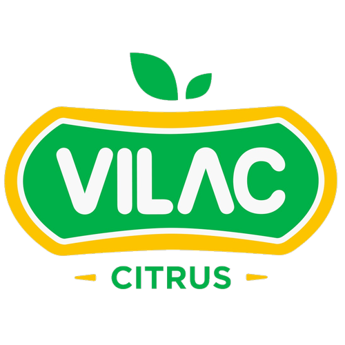 Logotipo da empresa VIEIRA REPRESENTACAO