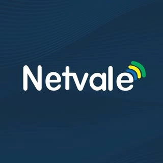 Logotipo da empresa NETVALE INTERNET SOLUTIONS