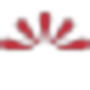 Logo de LOJAO DO BRAS