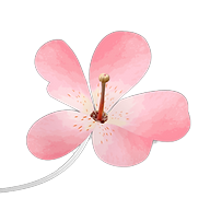 Logotipo da empresa CIACEN