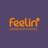 Logotipo da empresa FEELIN' EXPERIENCIAS INCRIVEIS