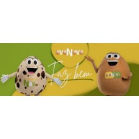 Logotipo da empresa OVO NOVO