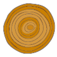 Logotipo da empresa CAMACA DESIGN