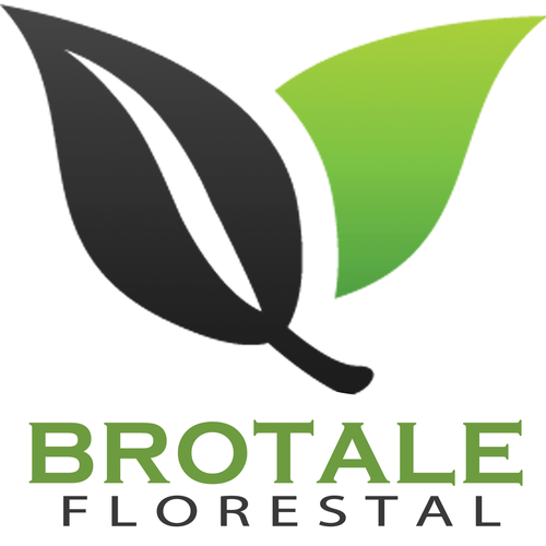 Logotipo da empresa BROTALE FLORESTAL