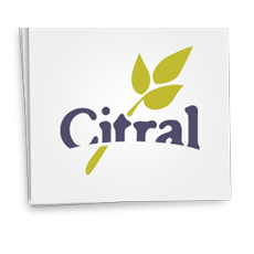 Logotipo da empresa D MORRO