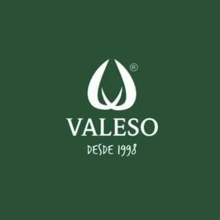 Logotipo da empresa VALE