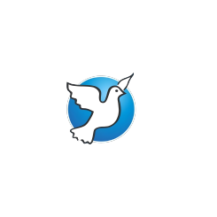 Logotipo da empresa PAX SILVA JR