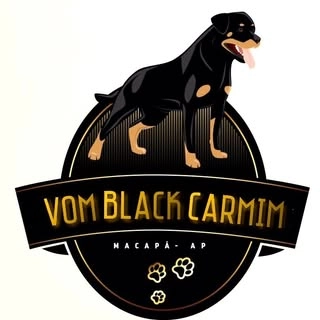 Logotipo da empresa J. M . CARTUCHOS E INFORMATICA