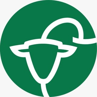 Logotipo da empresa NELORE NUTRICAO ANIMAL