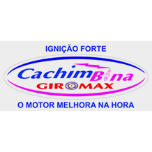 Logotipo da empresa ZEBRA