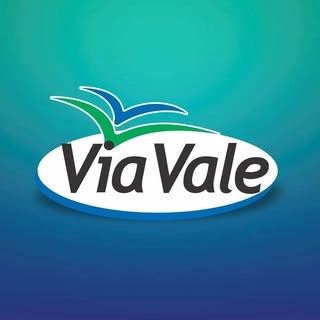 Logotipo da empresa VIA VALE