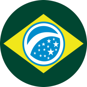 Logotipo da empresa BRAVO BRASIL TRANSPORTES