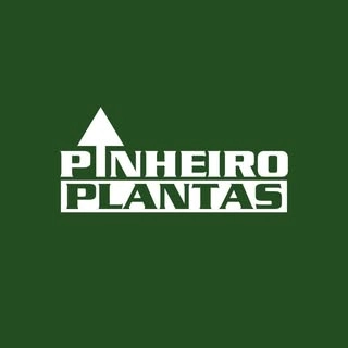 Logotipo da empresa PINHEIRO PLANTAS