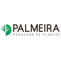 Logotipo da empresa PALMEIRA FLORES