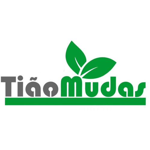 Logotipo da empresa TIAO MUDAS