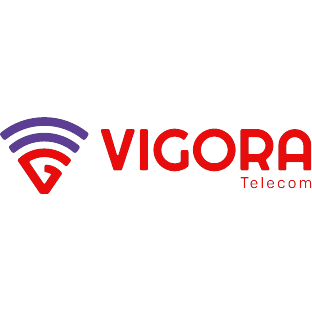 Logotipo da empresa VIGORA TELECOM