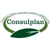 Logotipo da empresa CONSULPLAN