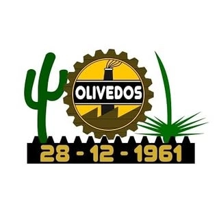 Logotipo da empresa OLIVEDOS GABINETE PREFEITO