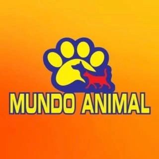 Logotipo da empresa MUNDO ANIMAL PENTECOSTE