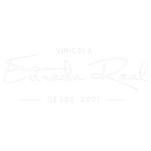 Logotipo da empresa SOCIEDADE VINICOLA PRIMEIRA ESTRADA LTDA
