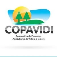 Logotipo da empresa COPAVIDI