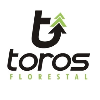 Logotipo da empresa TOROS FLORESTAL