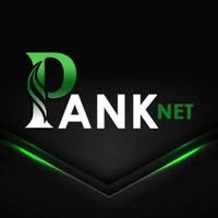 Logotipo da empresa PANK INFORMATICA