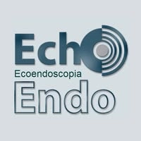 Logotipo da empresa ECHOENDO