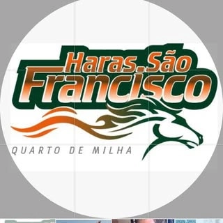 Logotipo da empresa FRANCISCO DANTAS DOS SANTOS