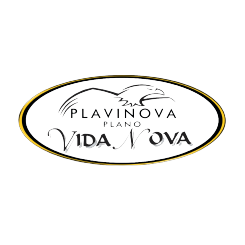 Logotipo da empresa PLAVINOVA