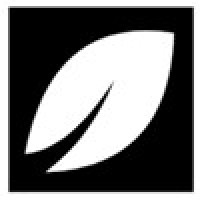 Logotipo da empresa SAFIRA MINIG E STONE