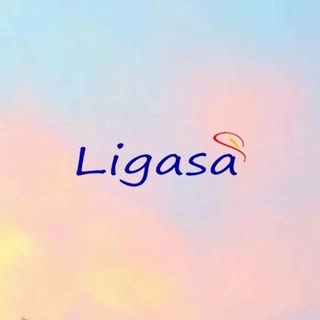 Logotipo da empresa LIGASA